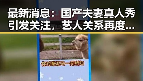 最新消息：国产夫妻真人秀引发关注，艺人关系再度成为焦点