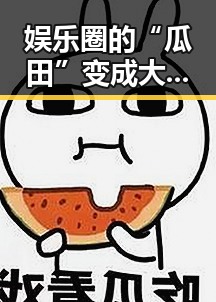娱乐圈的“瓜田”变成大碗宽面：从热闹闹到理性吃瓜的反差故事