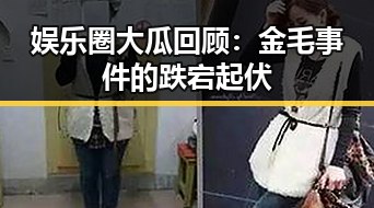 娱乐圈大瓜回顾：金毛事件的跌宕起伏