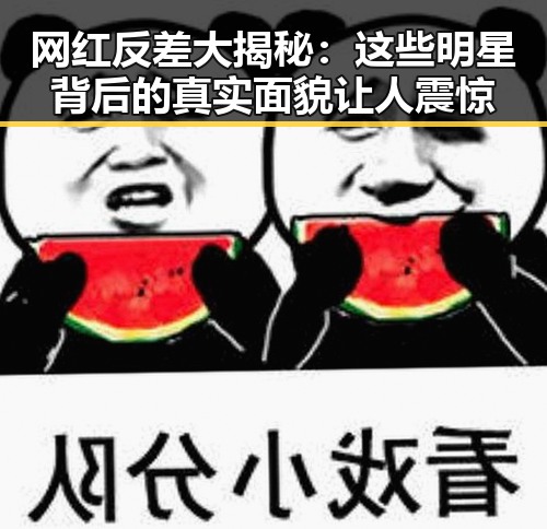网红反差大揭秘：这些明星背后的真实面貌让人震惊