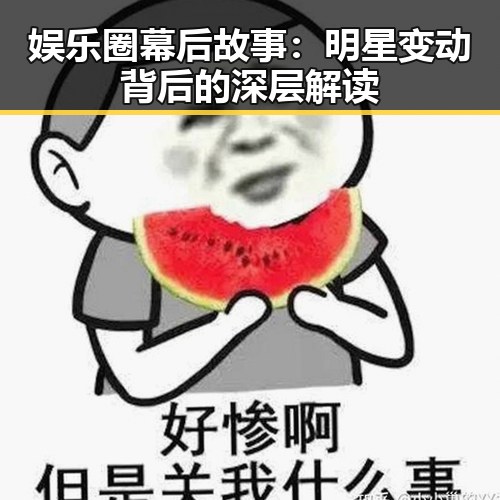 娱乐圈幕后故事：明星变动背后的深层解读